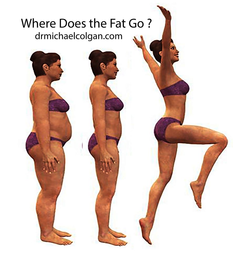 Body Fat Loss Programs 15